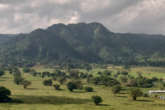 IMG_20250803_132954730_HDR